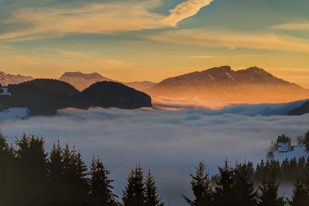 Magnifique T2 Refait A Neuf - Calme & Tout Equipe Avec Parking Grenoble Exteriér fotografie